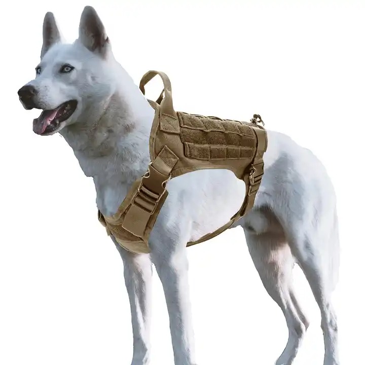 AlphaBreed Adventure Harness