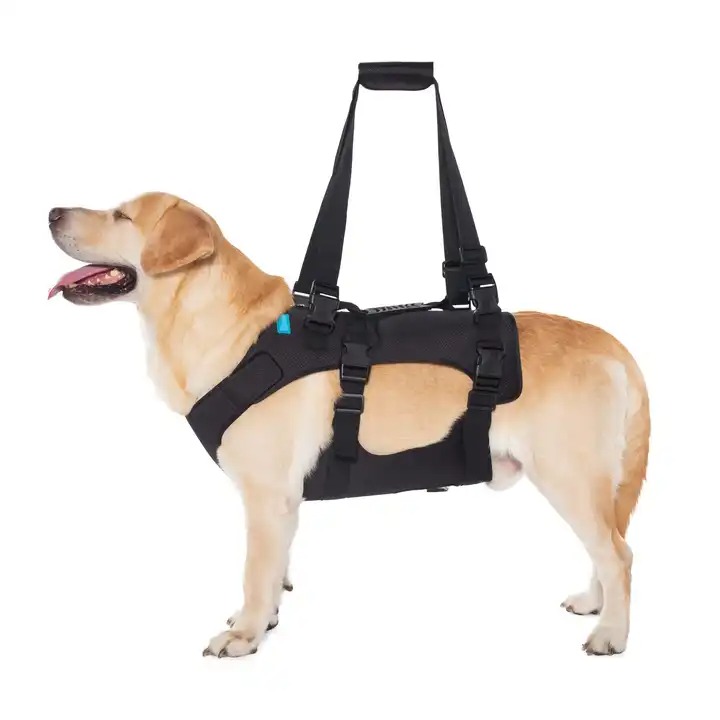 CareLift Mobility Harness