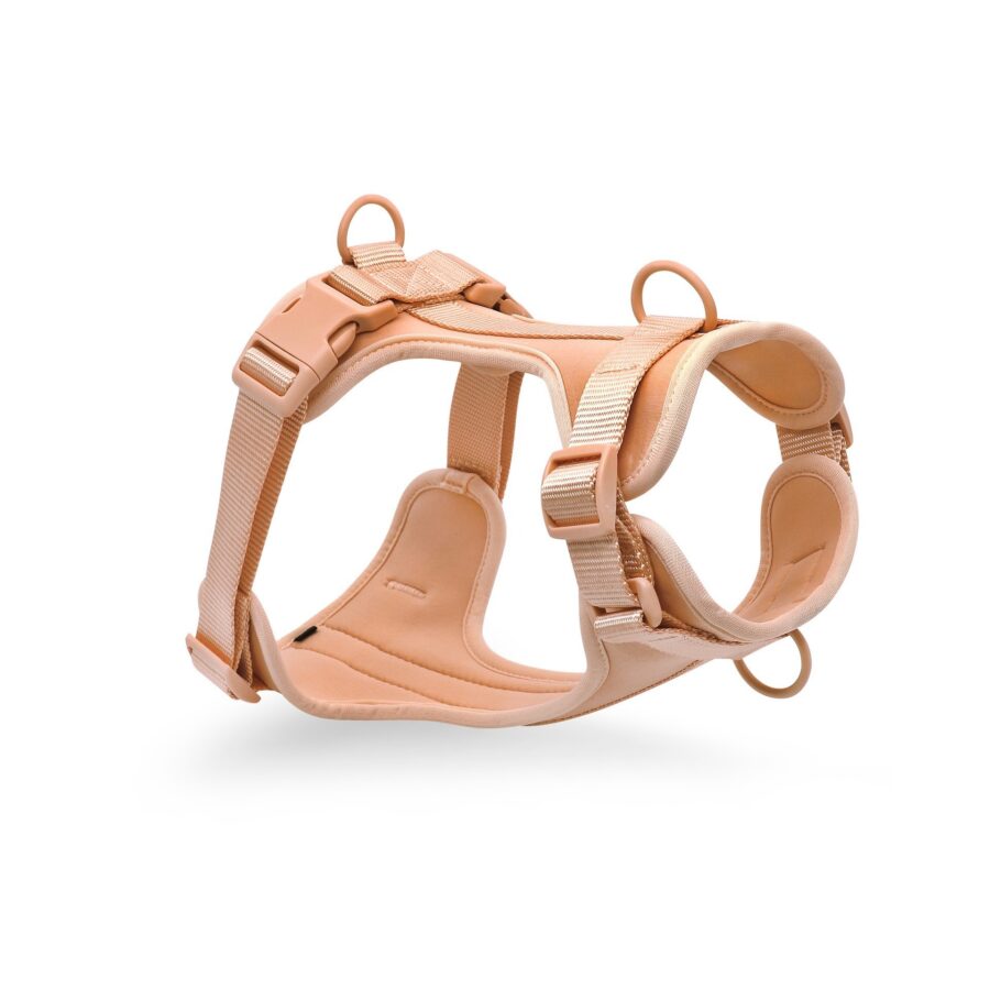 Small Dog Harness Perfect Fit for Your Little Companion