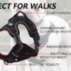 WAF SafeRide Dog Harness