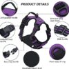 WAF SafeRide Dog Harness