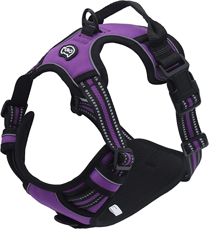 WAF SafeRide Dog Harness