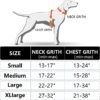 WAF SafeRide Dog Harness