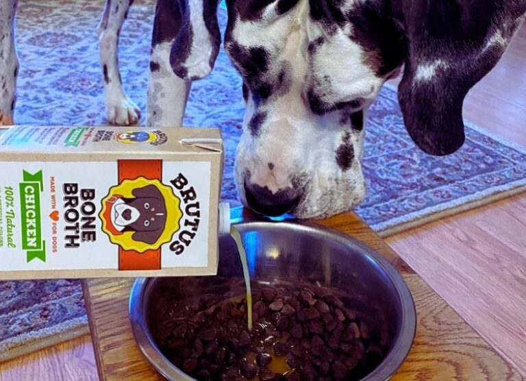 9 Best Bone Broth For Dogs Top Picks & Buying Guide WAF