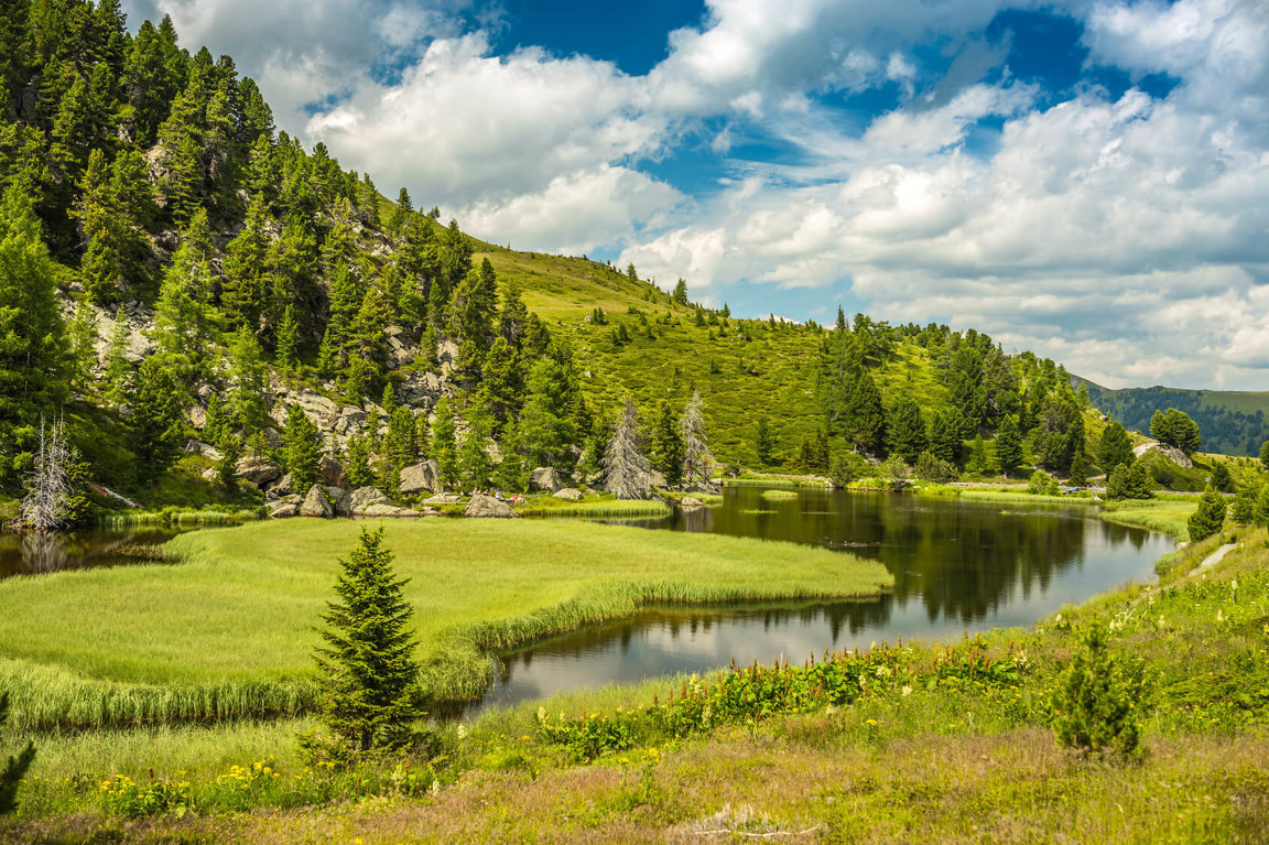creek meadow mountains