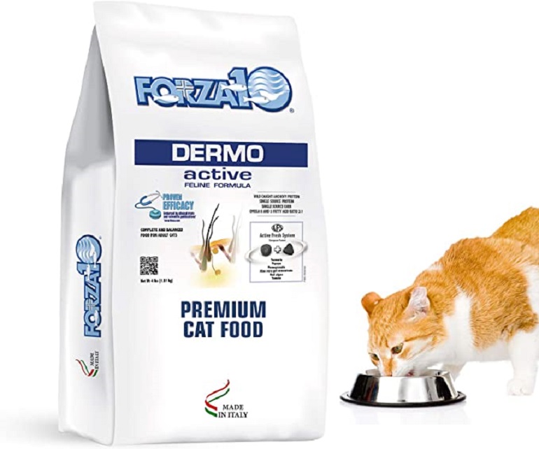 Best cat food hotsell for dry flaky skin