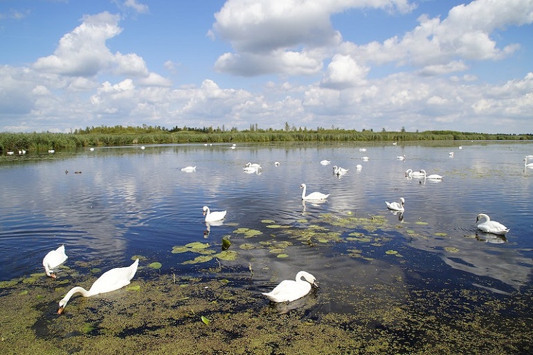 what does a habitat provide