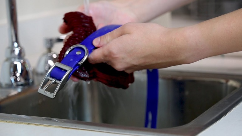 how to wash dog collars