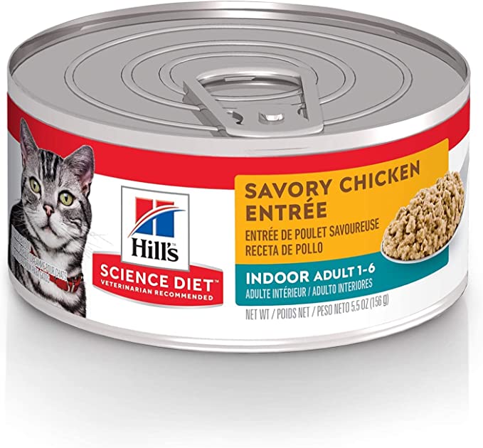 best cat food for cats with digestive issues