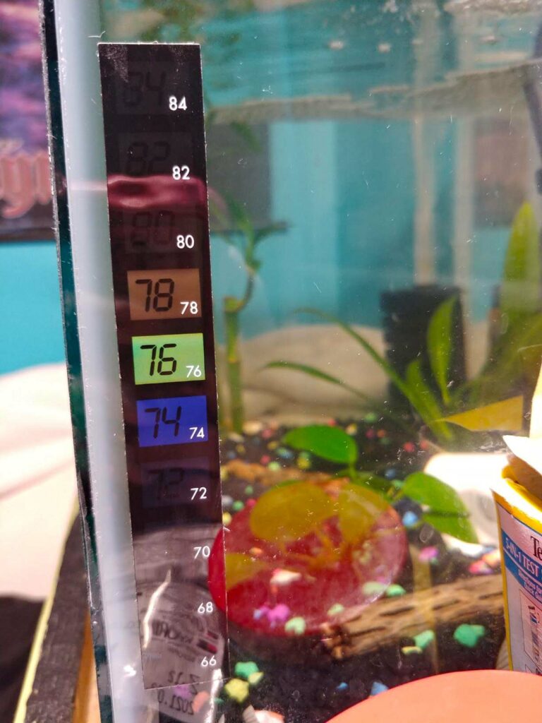 best water thermometer