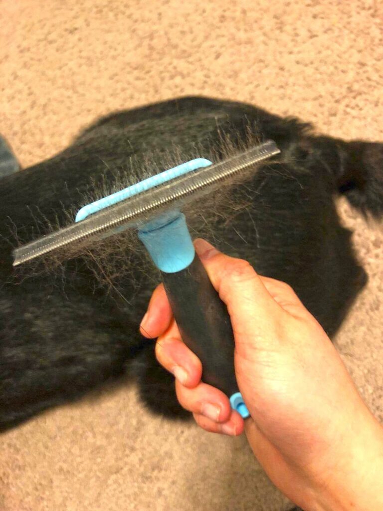 best cat combs