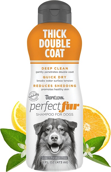 nøje Overvind voksenalderen Best Shampoo For Husky - Keeping Your Furry Friend Clean