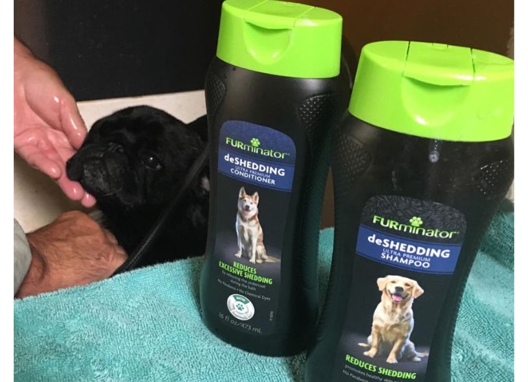 best shampoo for huskies