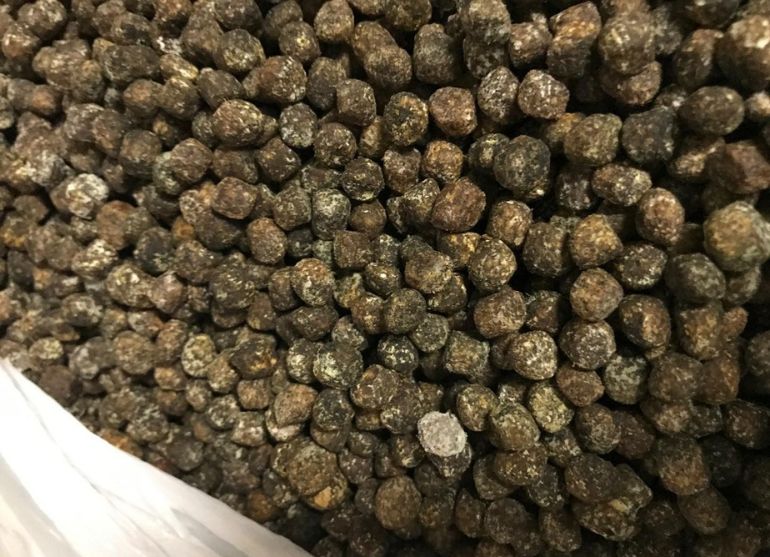 CANIDAE Grain Free