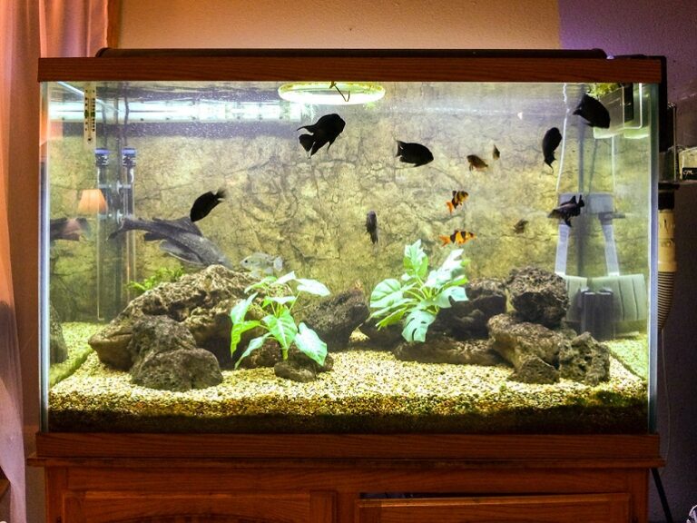 How To Fix Leaking Aquarium WAF