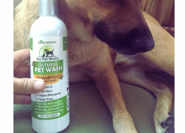 Best Husky Shampoo WAF