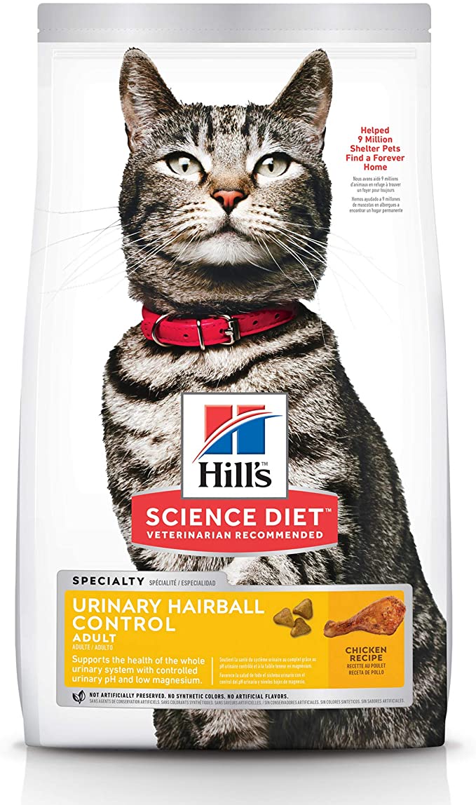 Best cat hot sale food for dandruff