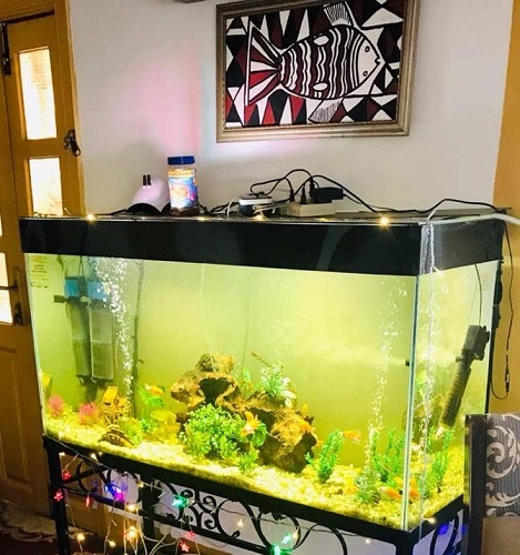 how to fix leaking fish tank