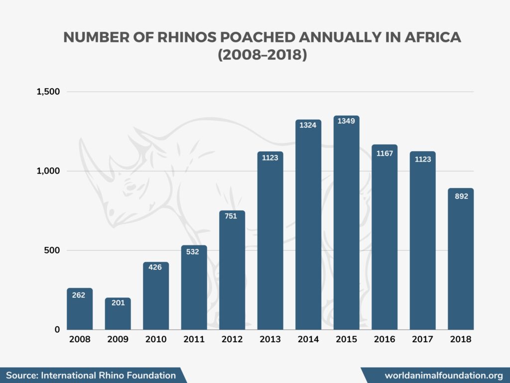 Rhinos poached annually in africa in graphical representation 