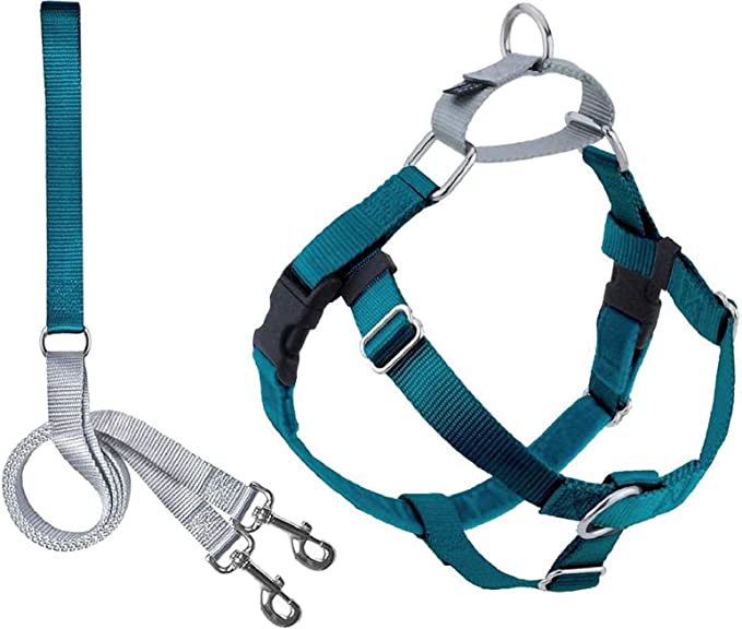 8 Best No Pull Dog Collars - Top Picks And Buying Guide-WAF