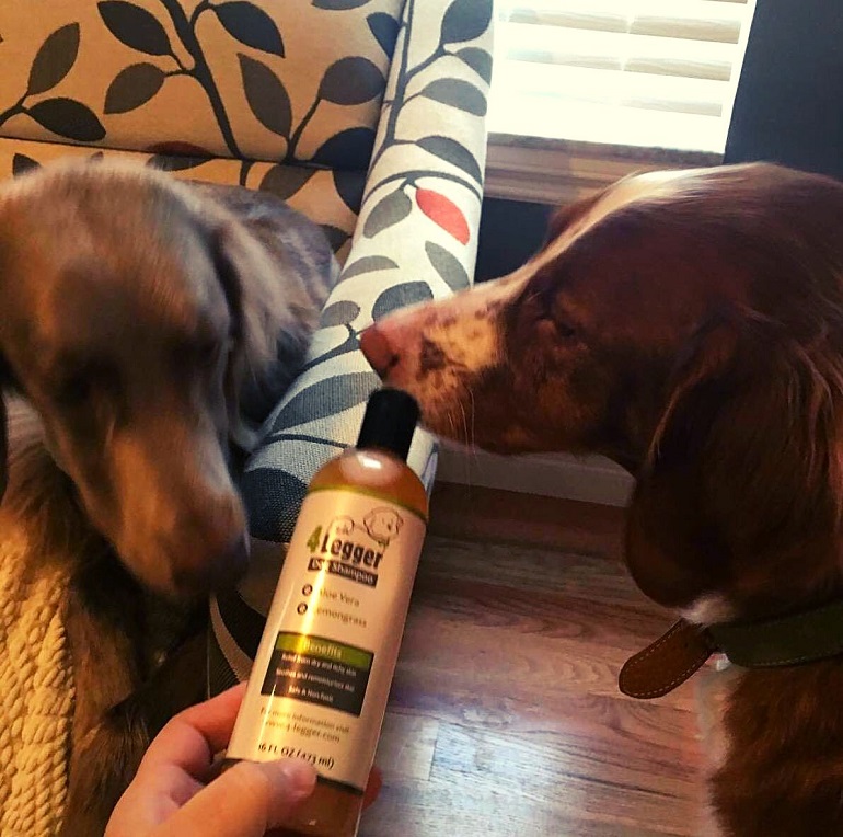 Best Husky Shampoo