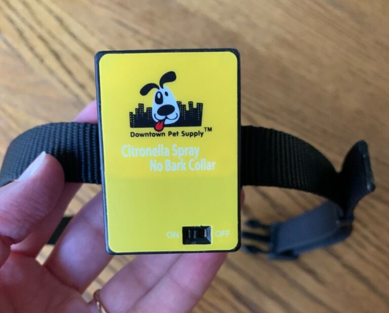 6 Best Citronella Bark Collars Top Picks & Buying Guide