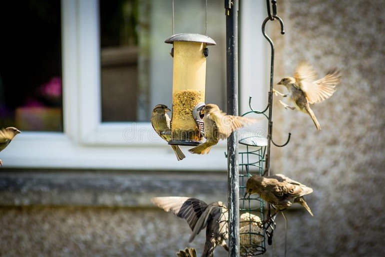 how to keep birds off your porch