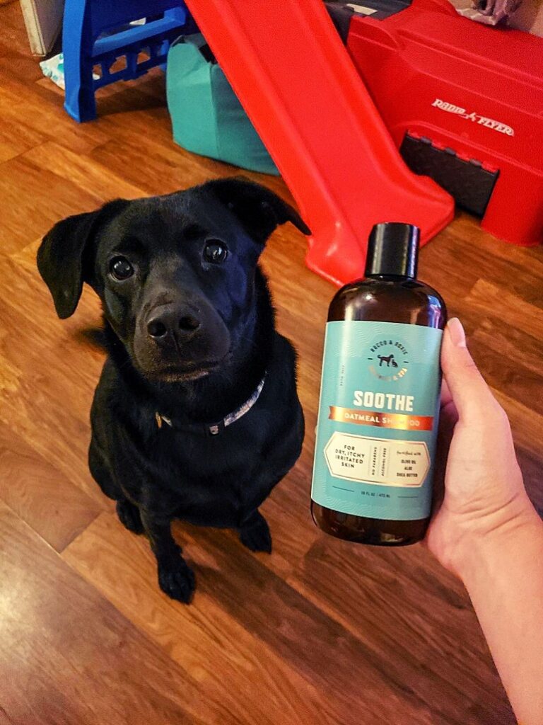 Best Husky Shampoo