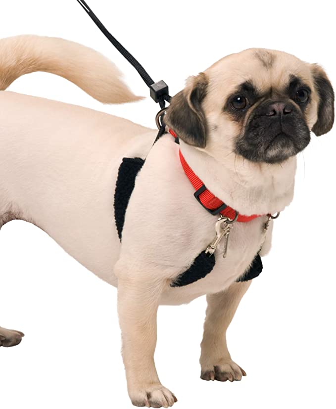 8 Best No Pull Dog Collars - Top Picks And Buying Guide-WAF