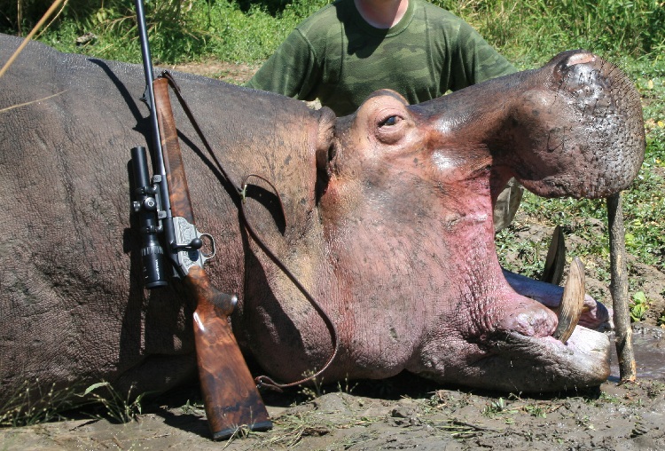 Psychology of trophy hunting: why some people kill animals for sport