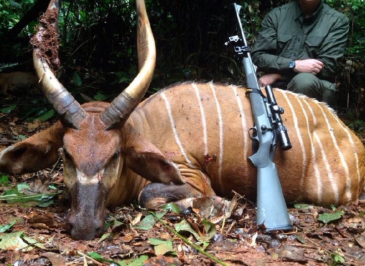 Psychology of trophy hunting: why some people kill animals for sport