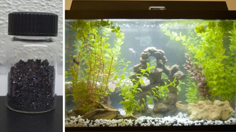 Top 10 TOOLS To Help Keep A Clean Aquarium 