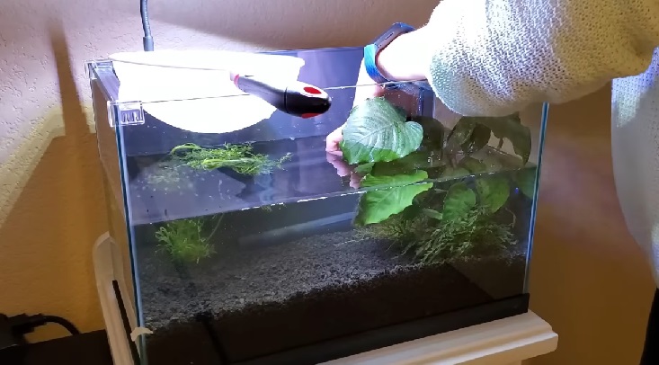 aquarium sand cleaning
