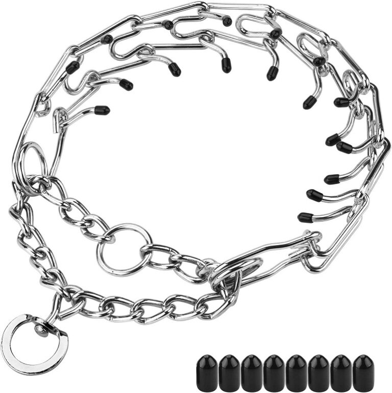 8 Best Prong Dog Collar Top Picks And Buying Guide
