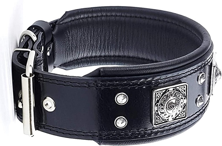 Best dog hotsell collars for pitbulls