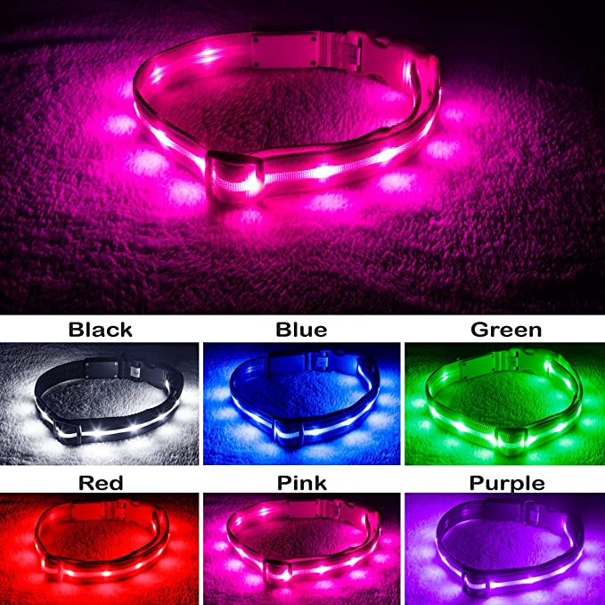 6 Best LED Dog Collars Top Picks & Buying Guide WAF