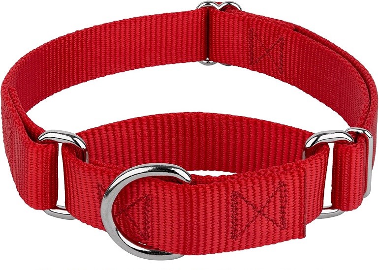 best collar or harness for dogs that pull