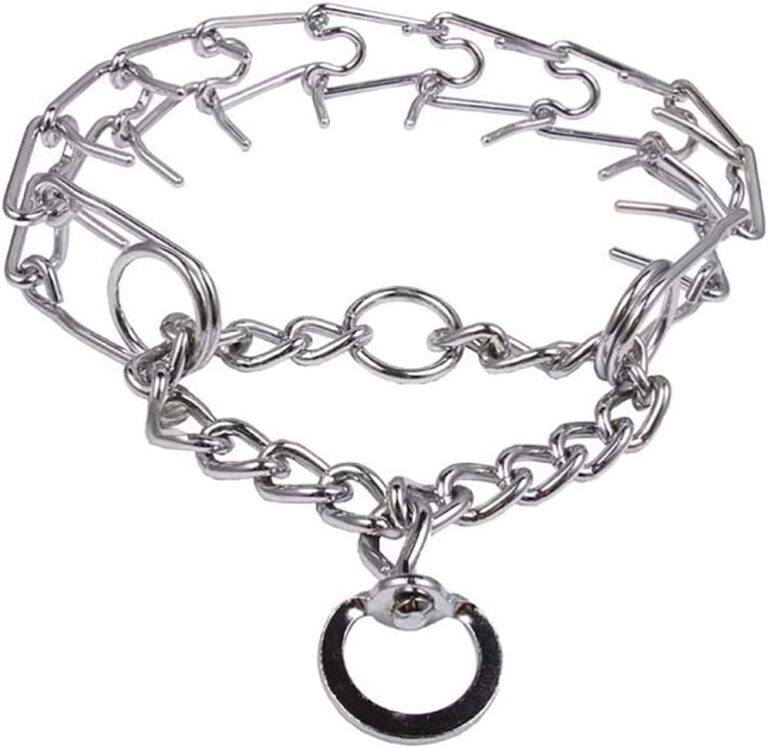 8 Best Prong Dog Collar Top Picks And Buying Guide