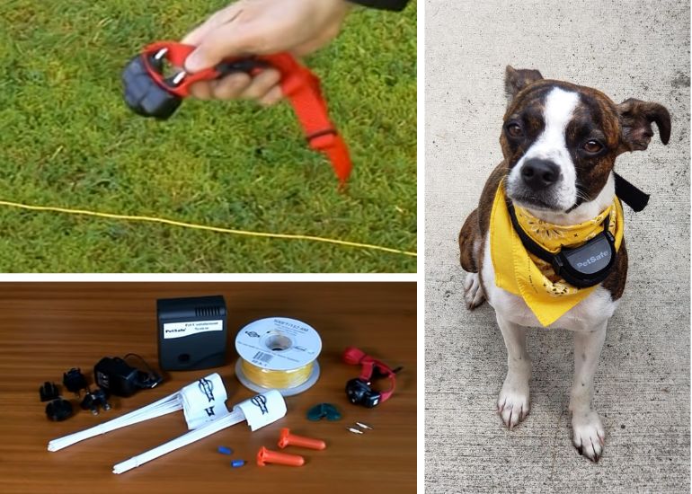 Underground dog hotsell fence collar