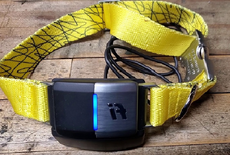 Fi dog store collar subscription cost