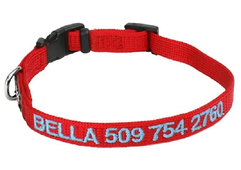 7 Best Dog Collars And Leashes Top Picks & Buying Guide