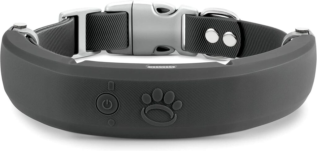 The Best Smart Dog Collars