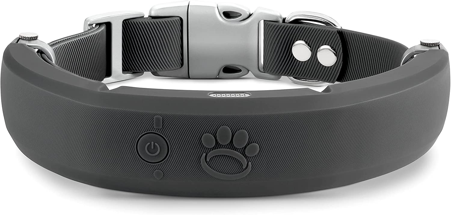 Smart collar deals for dogs