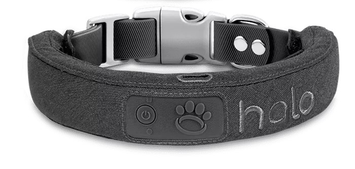 how much does a halo dog collar cost