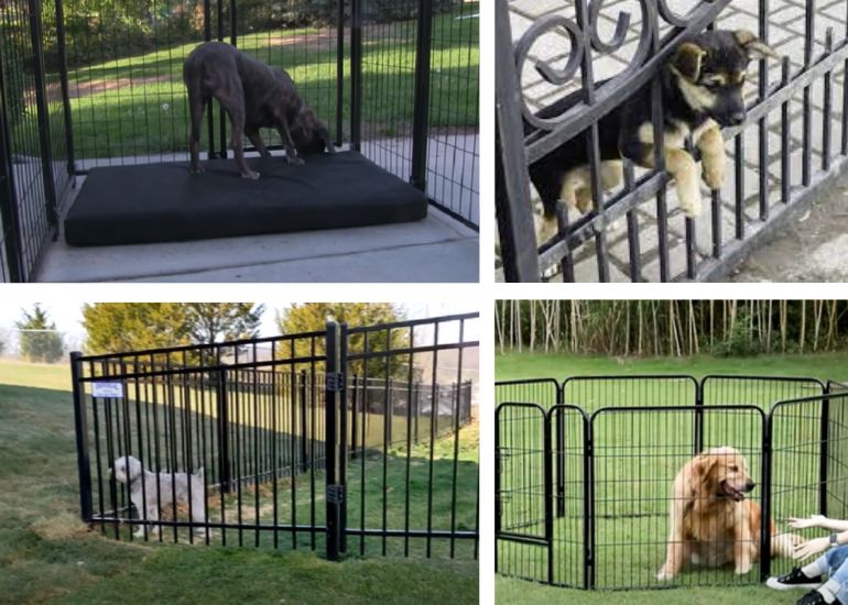 Fencing to keep clearance small dogs in yard