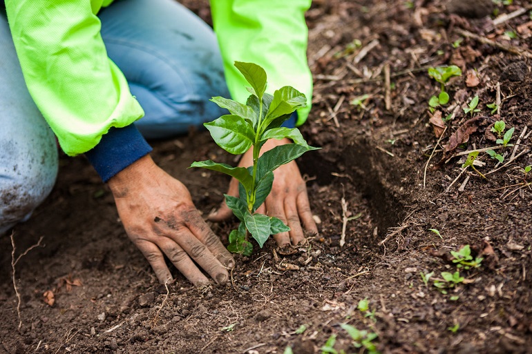 protect biodiversity in natural world