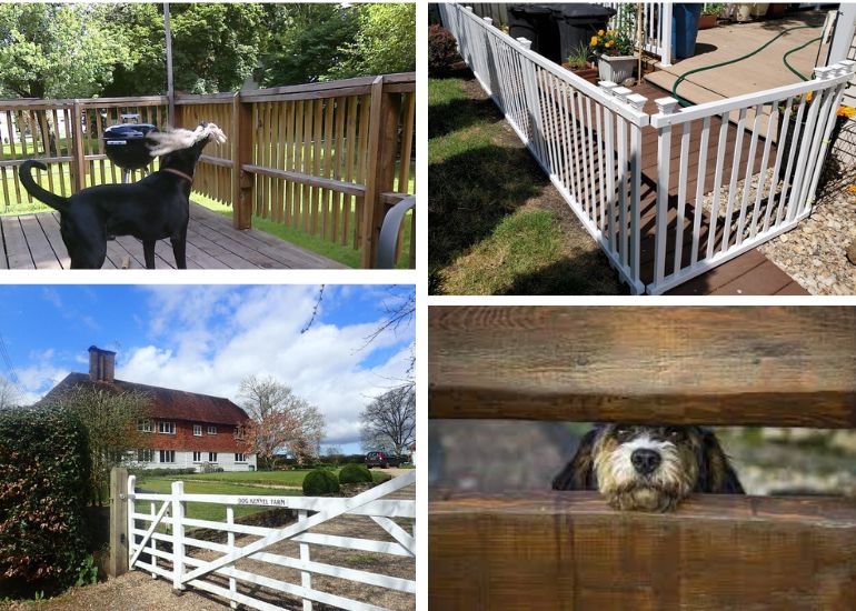 Homemade dog shop fence ideas