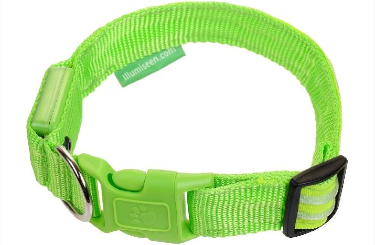 9 Best Reflective Dog Collars For Style And Safety