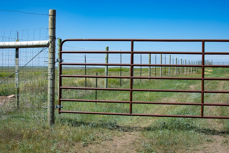 how to keep a dog from climbing a fence