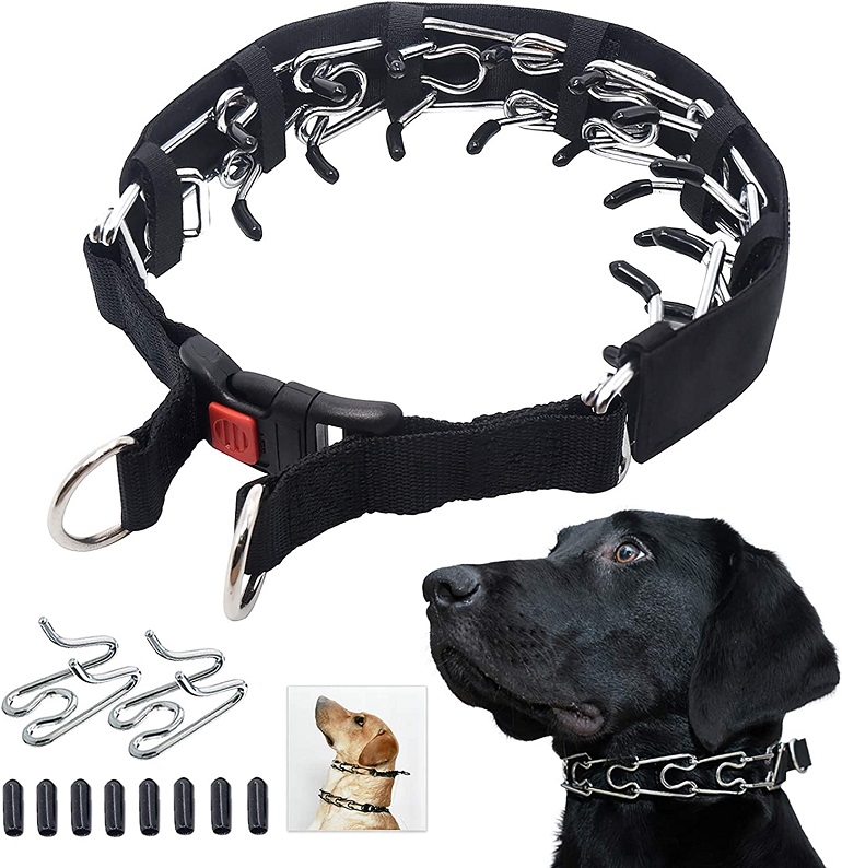 8 Best Prong Dog Collar Top Picks And Buying Guide